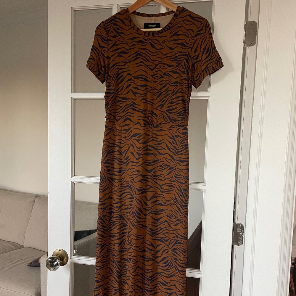 Rachel Comey Silk Tiger Print Dress